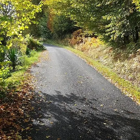 Chalet à L'orée du bois avec parking Tournavaux Extérieur photo