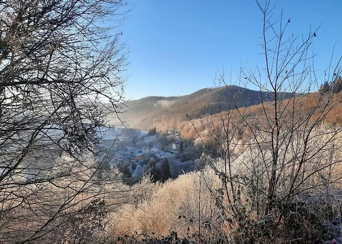 Chalet à L\'orée du bois avec parking